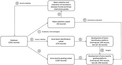 Development and validation of an artificial intelligence-powered acne grading system incorporating lesion identification